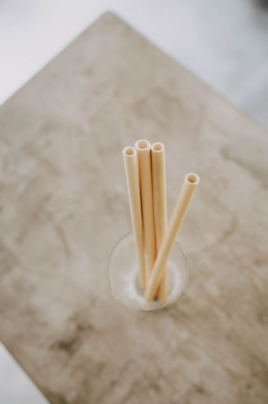 Village Thrive - Sustainable Bamboo Straws With Cleaner