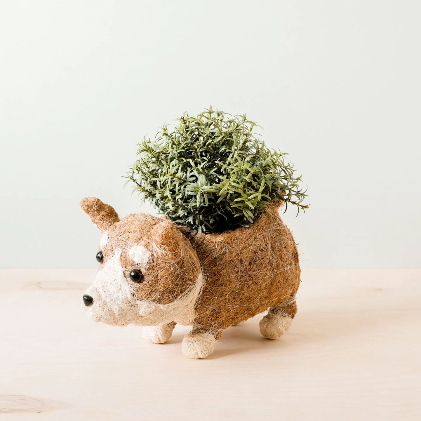 LIKHÂ - Animal Planter - Corgi Succulent