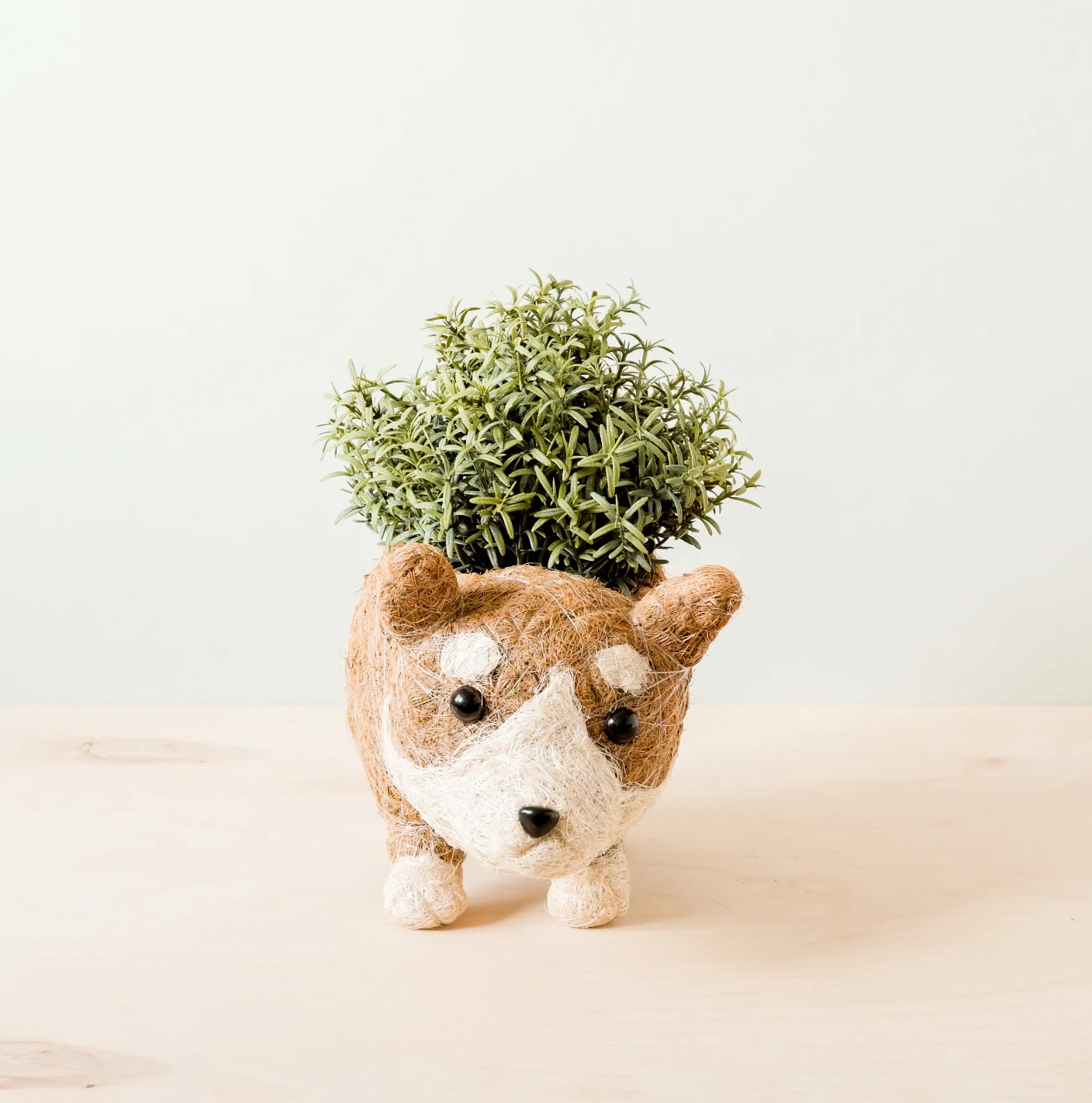 LIKHÂ - Animal Planter - Corgi Succulent