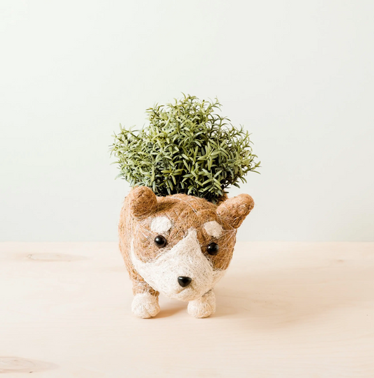 LIKHÂ - Animal Planter - Corgi Succulent