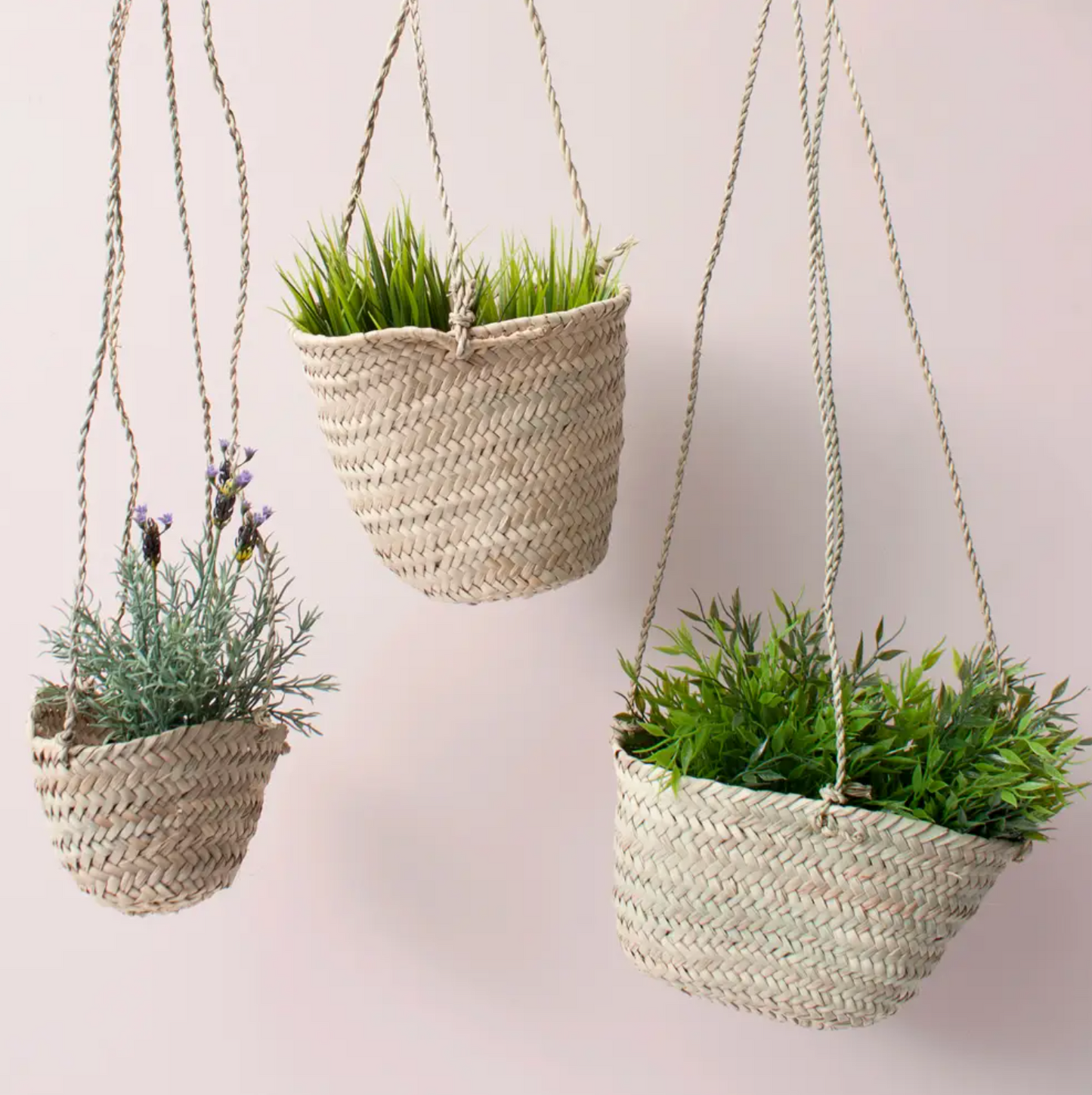 Bohemia Design - Hanging Baskets - Tiny