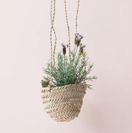 Bohemia Design - Hanging Baskets - Tiny