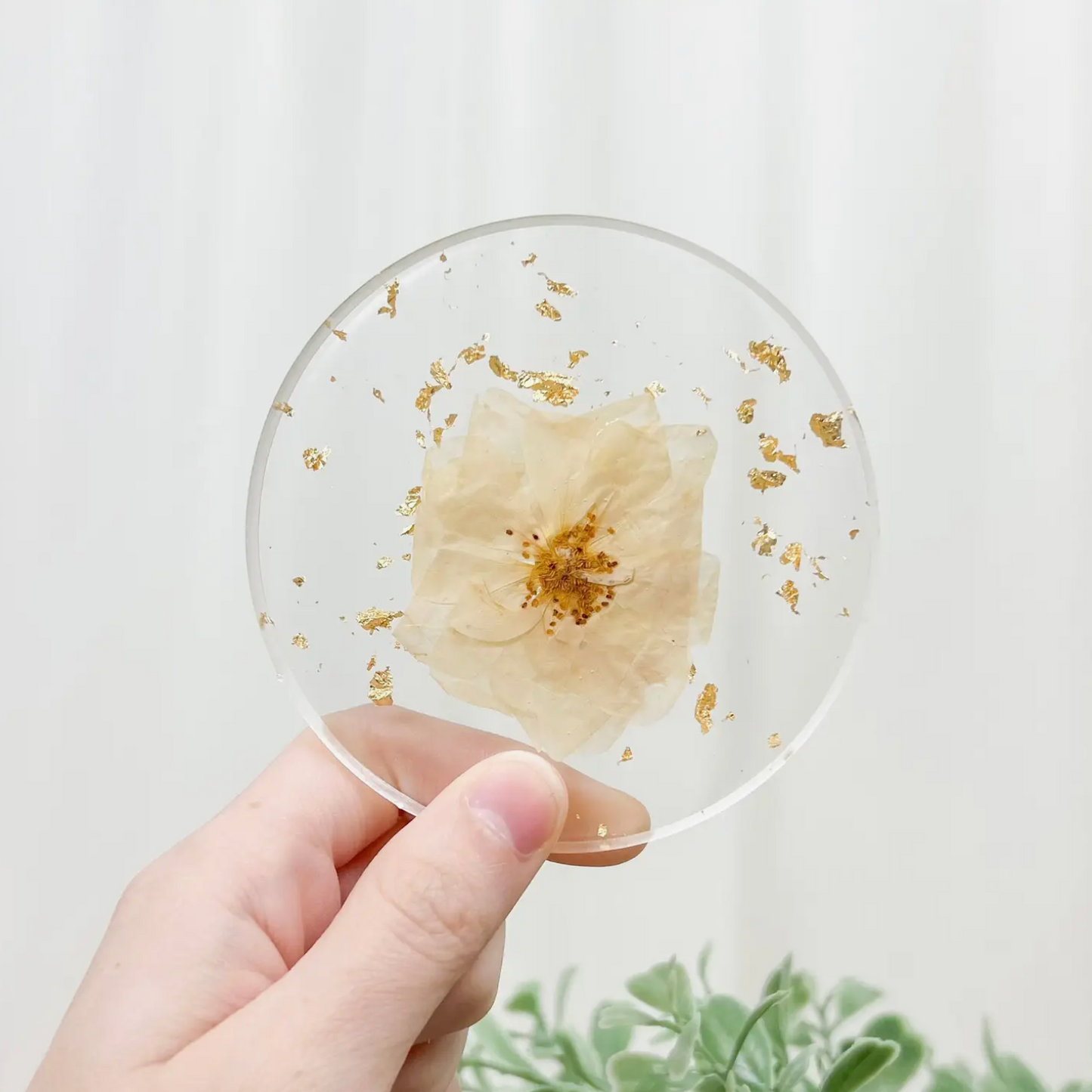 Rooted - Pressed Flower Coaster - White Rose